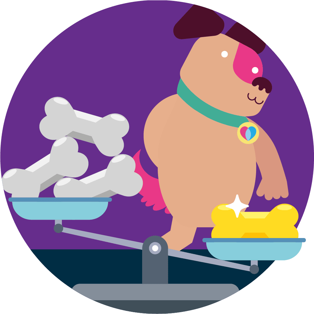 Employer Branding als Recruiting-Filter